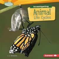 Investigating_Animal_Life_Cycles